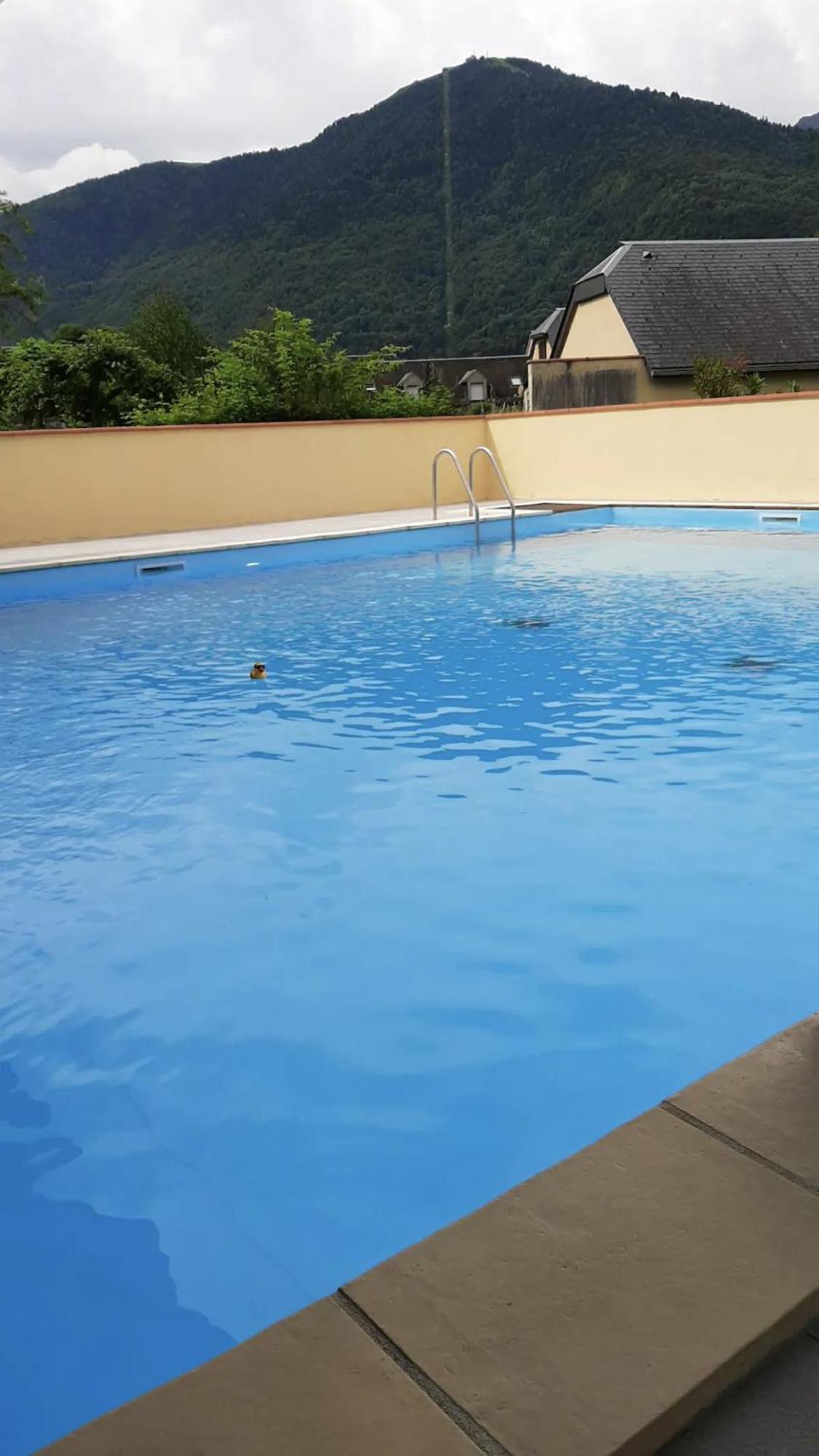 Appart T 3 Bagneres-De-Luchon Vue Montagne - Piscine Mi Juin 外观 照片